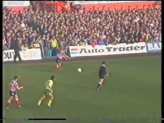 Sunderland - Newcastle United 17-11-1991 Division Two