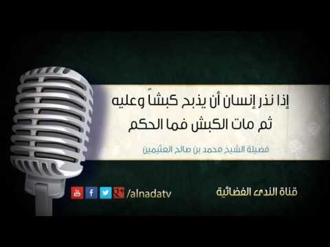 إذا نذر إنسان أن يذبح كبشاً وعليه ثم مات الكبش فما الحكم | الشيخ محمد صالح العثيمين