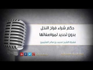 حكم شراء فراخ النخل بدون تحديد لمواصفاتها | الشيخ محمد صالح العثيمين