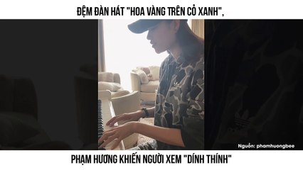 Đệm đàn hát "Hoa Vàng Trên Cỏ Xanh", Phạm Hương khiến người xem "dính thính"