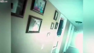 Cop shoots a little girl instead of the family dog