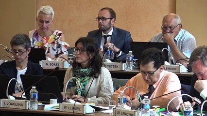 CD 89 : une décision modificative mineure ?