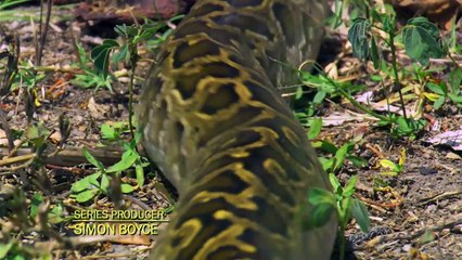 ดู Dangerous Encounters S4 EP2