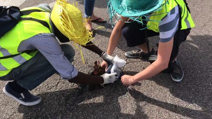 Opération "Un trou une fleur" à Rouen