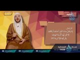 العقوق | 06 | برنامج المصباح | دكتور أحمد بن عبدالرحمن القاضي