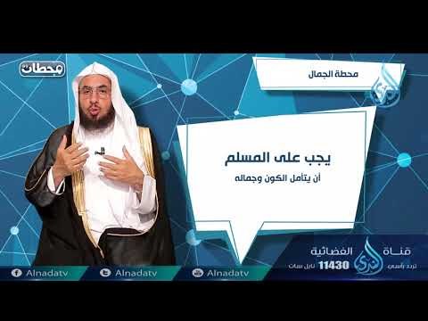 محطة الجمال | ح12| محطات | الدكتور فالح بن محمد الصغير