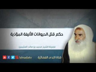 حكم قتل الحيوانات الأليفة المؤذية – محمد بن عثيمين