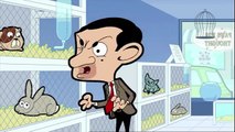 Mr Bean Cartoon 2018 - Dead Cat | Season 1 Episode 14 | Funny Cartoon for Kids | Best Cartoon | Cartoon Movie | Animation 2018 Cartoons