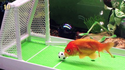 Animal Myths You Think Are Right… But You’re Wrong!