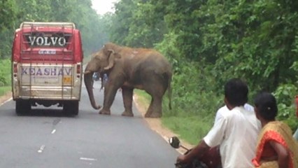 ಚಾಮರಾಜನಗರದಲ್ಲಿ ಆನೆ ದಾಳಿಯಿಂದ 60 ಪ್ರಯಾಣಿಕರನ್ನ ಬಚಾವ್ ಮಾಡಿದ ಚಾಲಕ | Oneindia Kannada