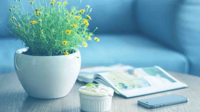 Tips to Make Your House Eco-Friendly: ऐसे बनाएं घर को Eco-Friendly, दूर होगी Negativity | Boldsky