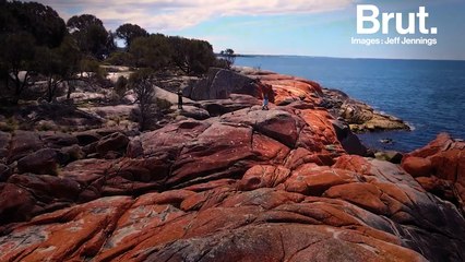 Tasmanie : les roches oranges de la "Bay of fires"