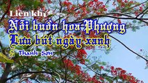 [Karaoke] LK: NỖI BUỒN HOA PHƯỢNG & LƯU BÚT NGÀY XANH - Thanh Sơn (Giọng Nữ: Dm/Cm)