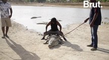 Dans ce village burkinabè, les crocodiles sont vénérés