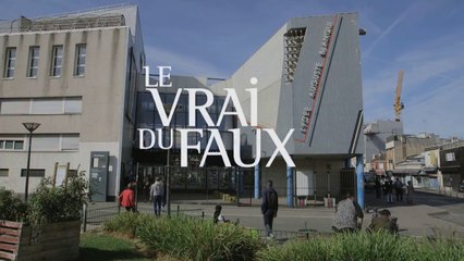 Bande-annonce : « Le Vrai du faux », de Zoe Lamazou et Sébastien Koegler