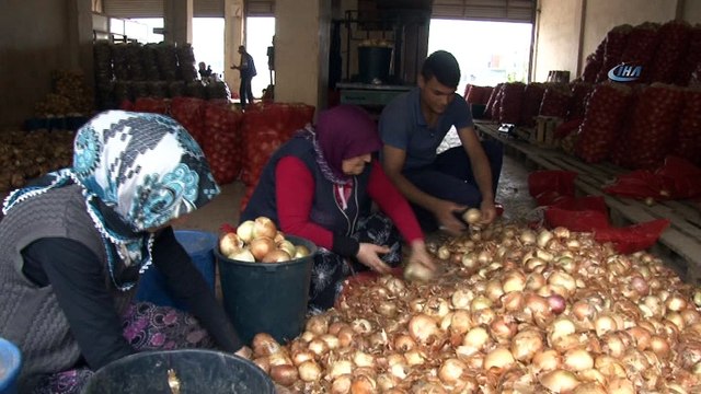 15-20 gün içerisinde patates ve soğan 1,1.5 lira olacak