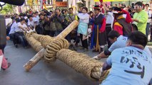 [울산] 3백20년 전통의 큰 줄다리기 '마두희 축제' 열려 / YTN