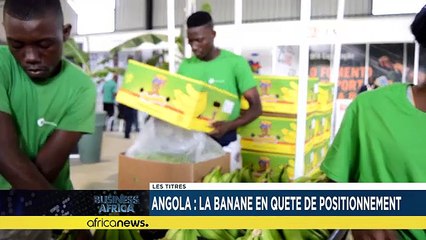 Congo-Cameroon fiber optic project, a medium for regional interconnectivity [Business Africa]