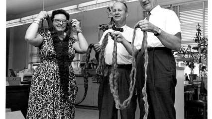 World's longest beard goes on display