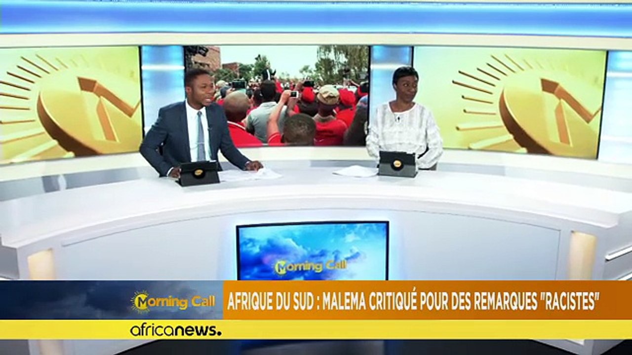 Afrique du sud : Malema critiqué pour des remarques "racistes" [The Morning Call]