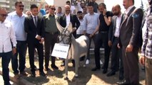 - Ülkücüler'den Yaşar Okuyan'a ilgniç protesto