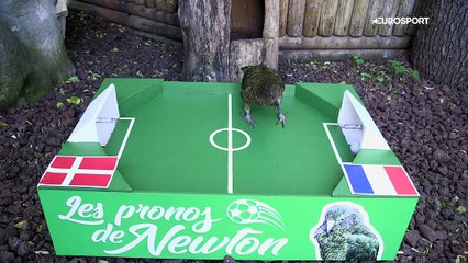 Le prono de Newton : France ou Danemark, qui finira en tête du groupe C ?