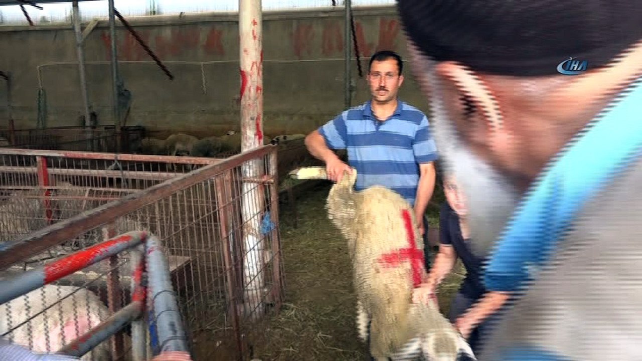 Esenyurtlu vatandaştan Erdoğan’ın zaferine adak