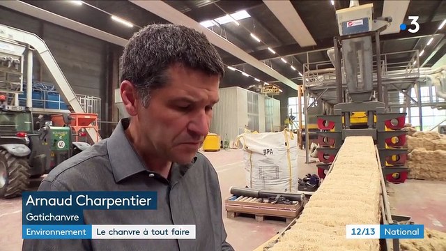 Environnement : le chanvre, une plante à tout faire