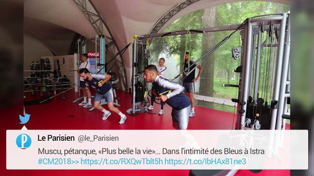 Pétanque, sudokus, Plus belle la vie : les surprenantes distractions des Bleus