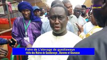 Visite guidée des maires de guediawaye , diareme limamoulaye et Gounass