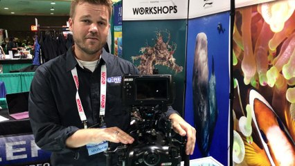 Nauticam C200 Underwater Housing