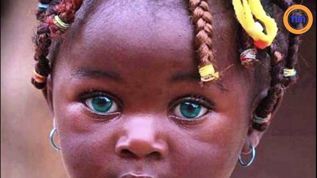 Ces photos sont extraordinaires