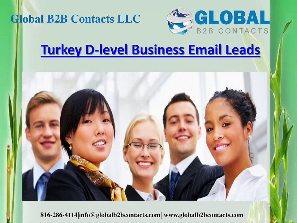 Turkey D-level Business Email Leads