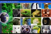 (2)CBSE Class 12 Biology, Biodiversity And Conservation – 2, Patterns of Biodiversity