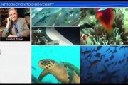 (3)CBSE Class 12 Biology, Biodiversity And Conservation – 3, Introduction to Biodiversity