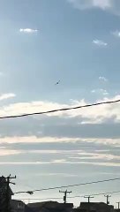 Plane Seen Flying Erratically Before Illegally Landing on Coast Guard Beach in NJ