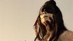 ‘Westworld’ Showrunner Talks Season 2 Finale & New World | THR News