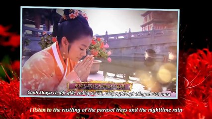 [Vietsub | Engsub] Không Hối Hận | No Regret 不悔 – Lưu Đình Vũ (Hậu Cung OST 后宫)