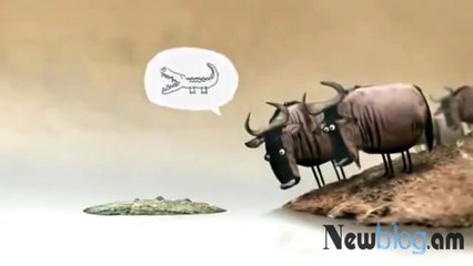 Կոկորդիլոսն ու գերանը