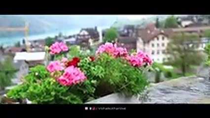 Murat and Hayat song - Phir Bhi Tumko Chahunga SAD VIOLIN - new video love story most popular song 2018