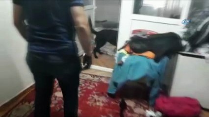 Video herunterladen: Kahramanmaraş’ta uyuşturucu operasyonu: 1 kilo 63 gram esrar, 16 kök kenevir bitkisi ele geçirildi