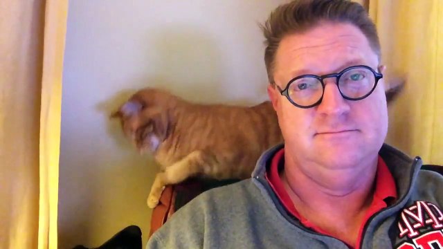 Son chat et son chien sont pire que des gamins... Ils se chamaillent tout le temps