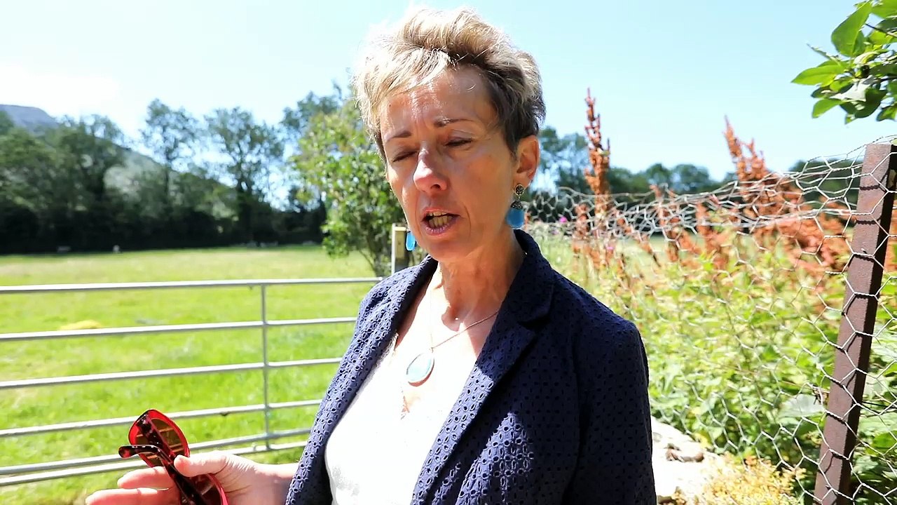 Patricia Morhet-Richaud, sénatrice des Hautes-Alpes , au sujet du loup hybride