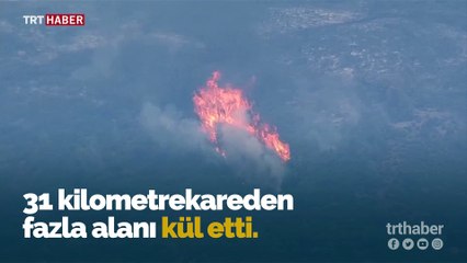 California'nın kuzeyinde orman yangını: 3 bin kişi evlerini terk etti