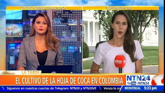 Cultivos de coca en Colombia alcanzaron cifra récord de 209.000 hectáreas en 2017, según EE. UU.