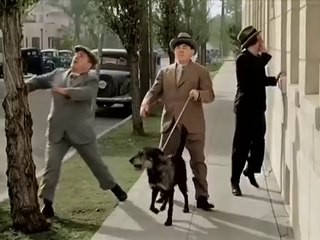 Los Tres Chiflados : DE CANES A CAN ( Español U.S. )