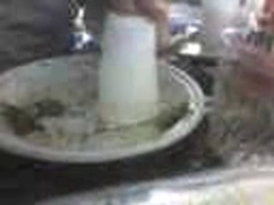 Vidéo 0008