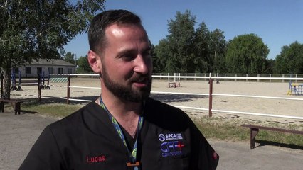 O sonho americano dos cães de Chernobyl