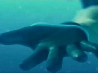 Kingdom hearts (i am...ramon zenker remix)