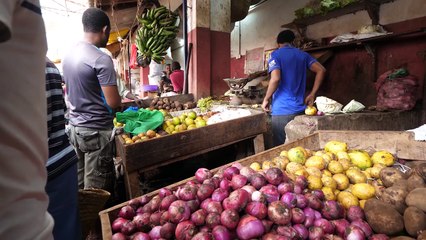 Street Food Tour of Lamu, Kenya - FOOD MELTING POT and Sailboat BBQ - Kenyan Swahili Food!